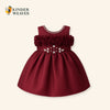 Lovely Maroon Color Frock For Girl's