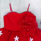 Cute Party Wear Frock For Girls